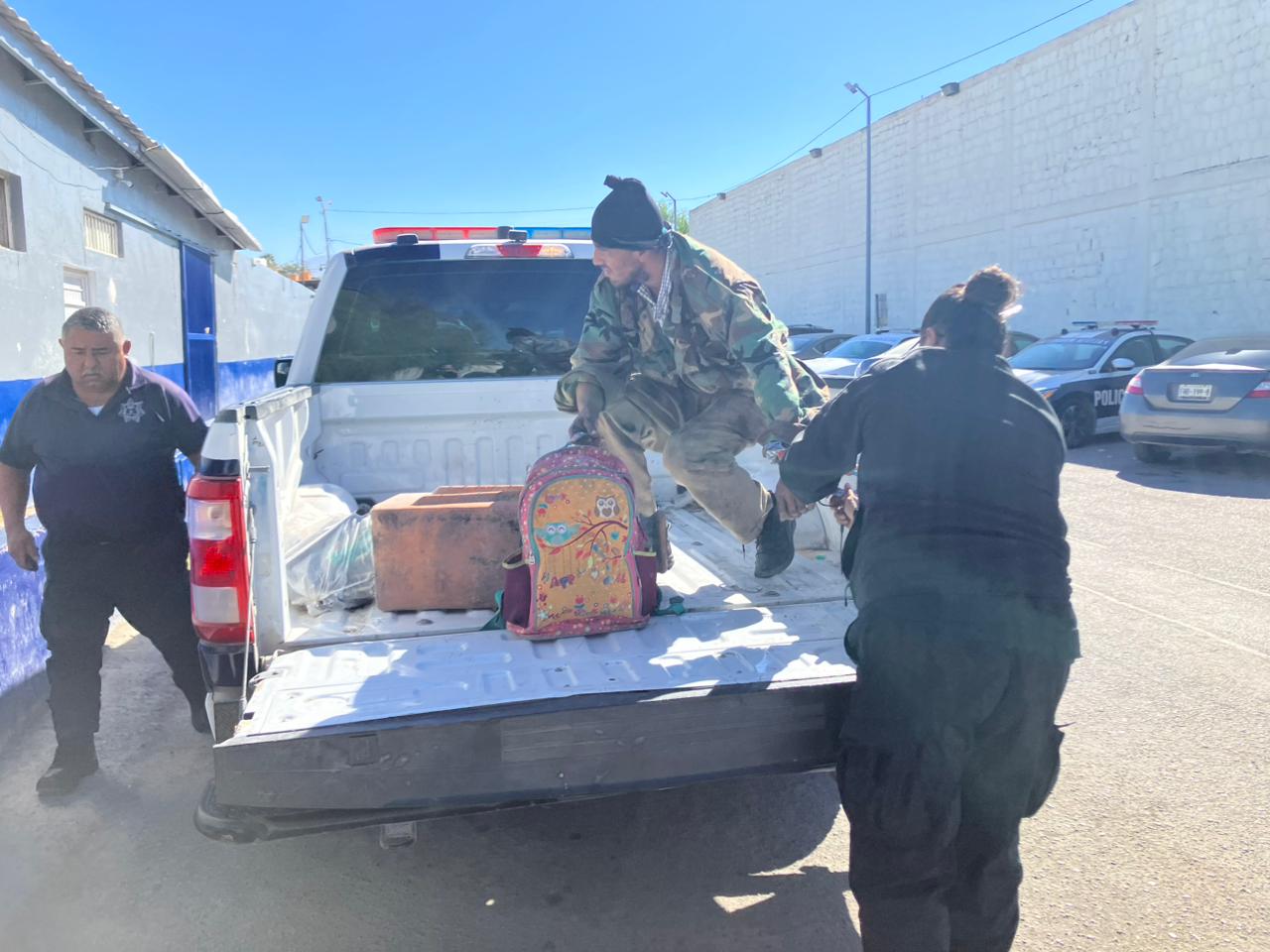 Roba hasta maceta polifacético ladrón