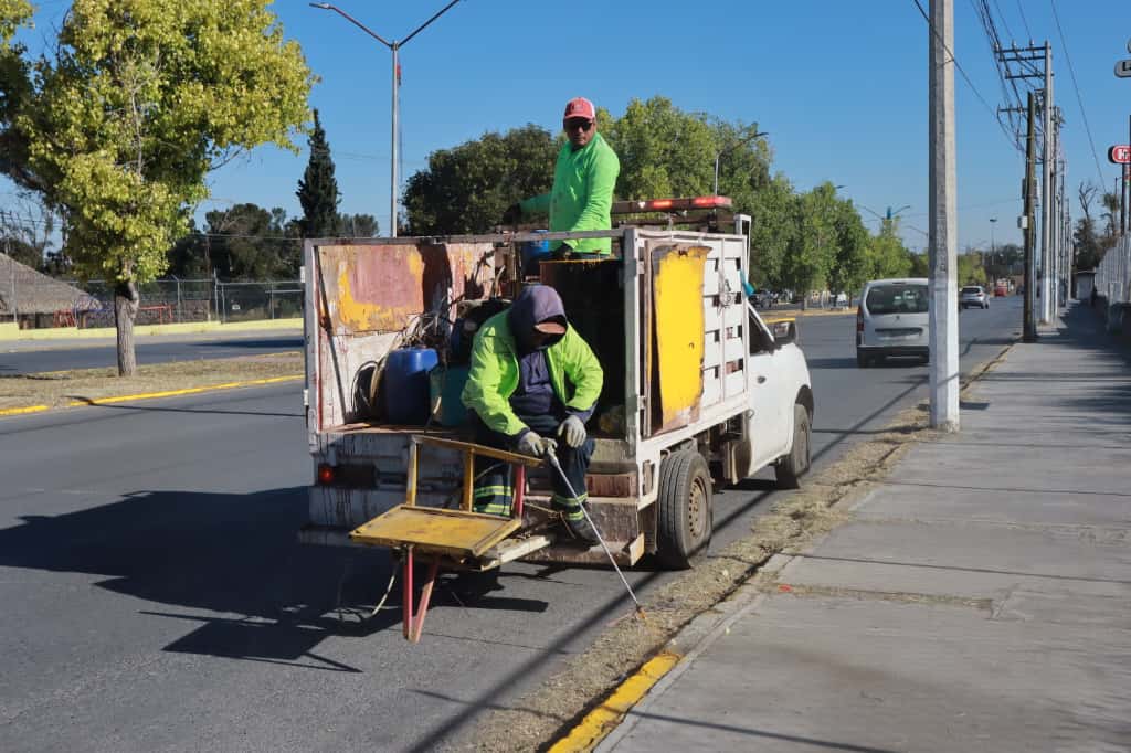Delimita Municipio camellones en favor de la seguridad vial en Saltillo