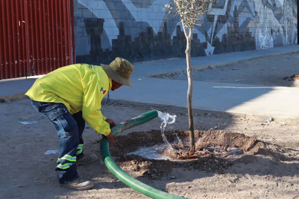 Atiende Saltillo con agua tratada áreas verdes de ‘Activa tu Parque’