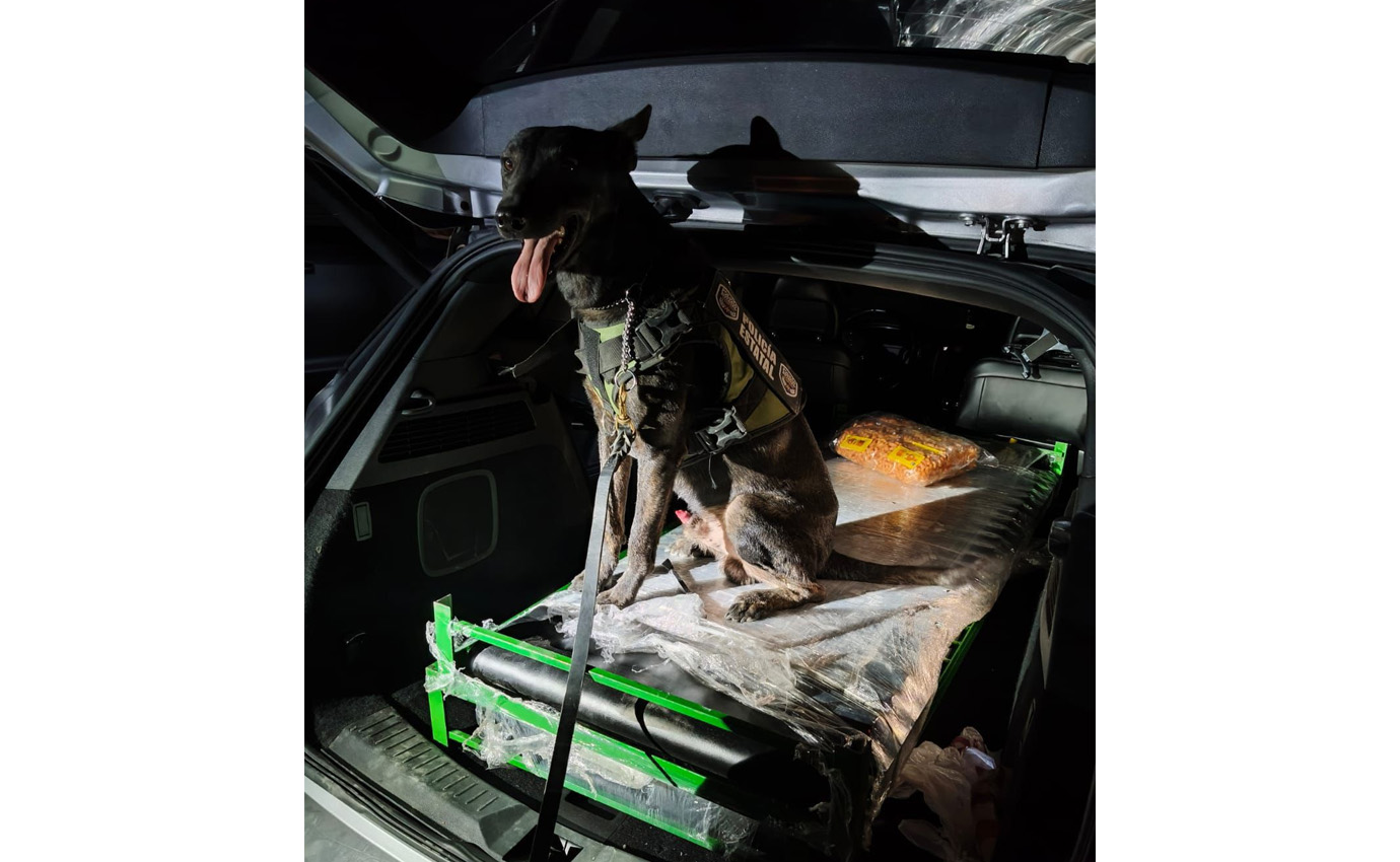 ASEGURA POLICÍA ESTATAL 23.5 KG DE CRISTAL