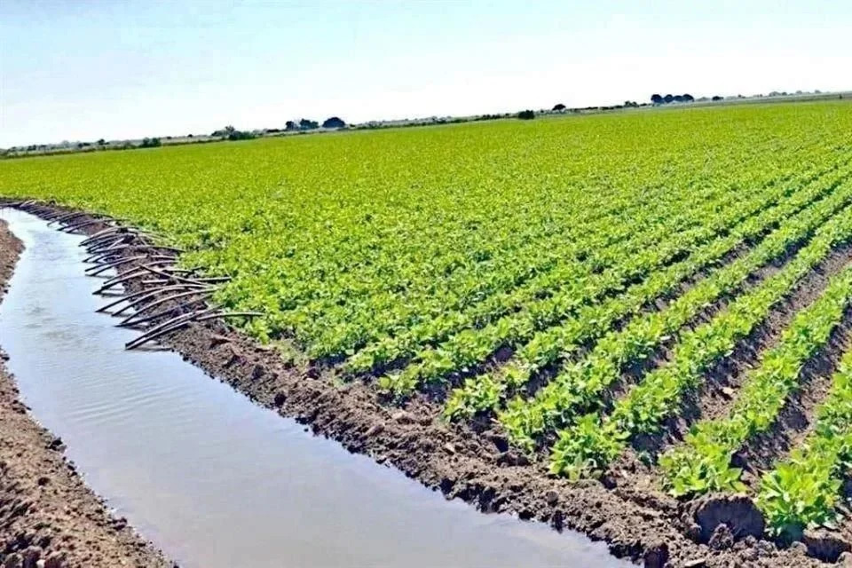 Logra agro que parte de sus demandas entren en la Ley