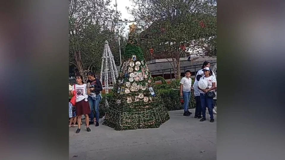 Buscadoras adornan «pino de la esperanza»