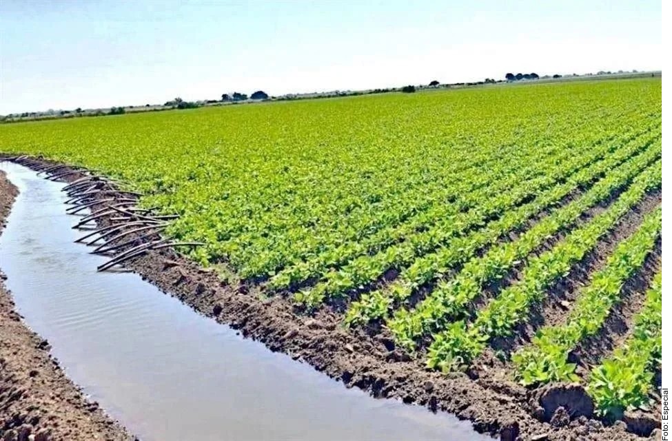 Rechazan nueva Ley de Agua los campesinos coahuilenses