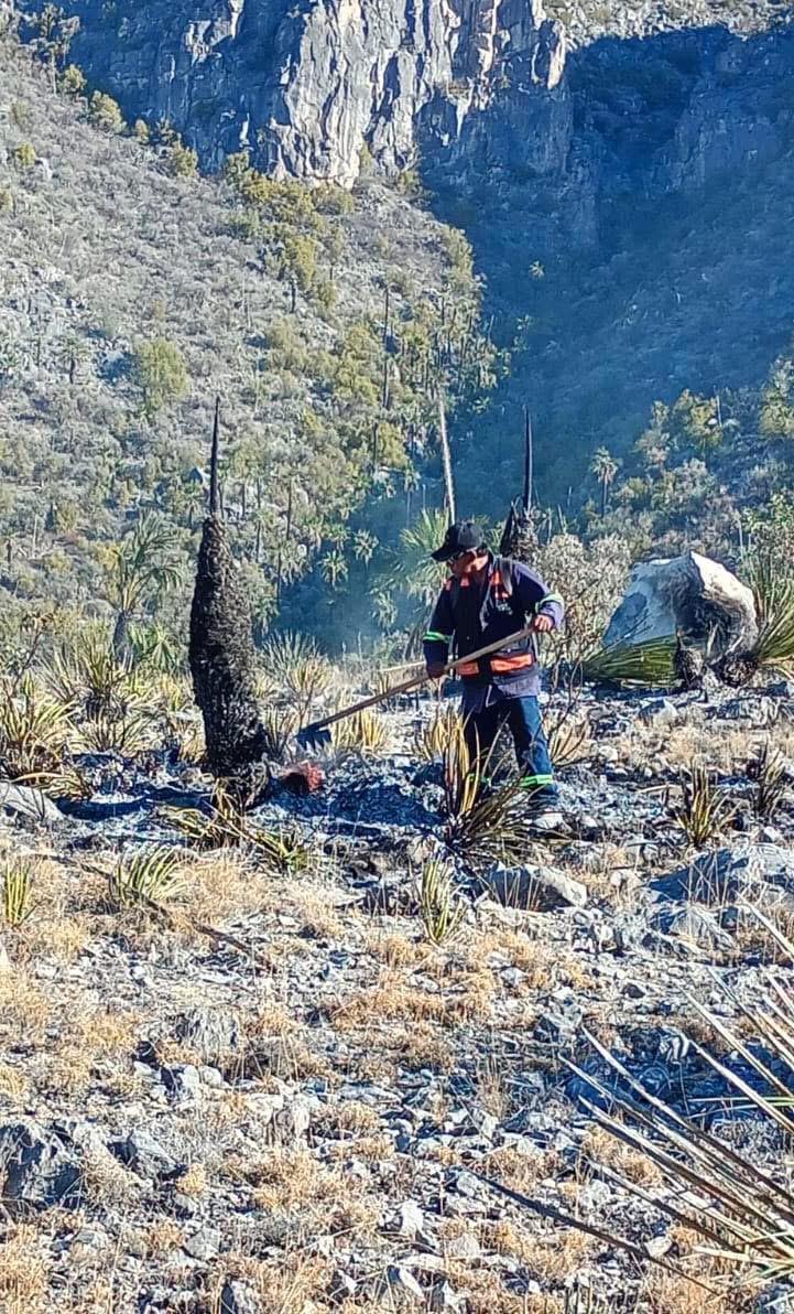 Sofocan fuego en Cañón de la Palma