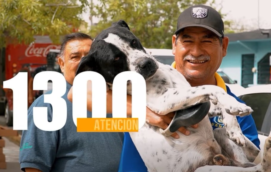 En Frontera se procura el bienestar animal: Sari