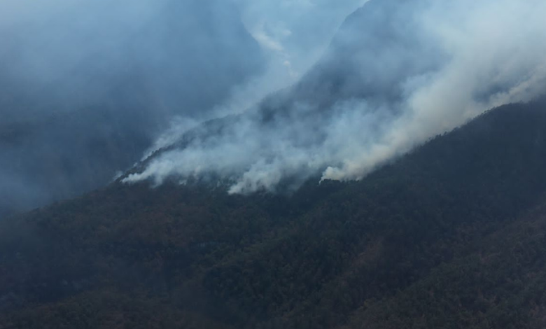 Mantiene SMA alerta contra incendios forestales