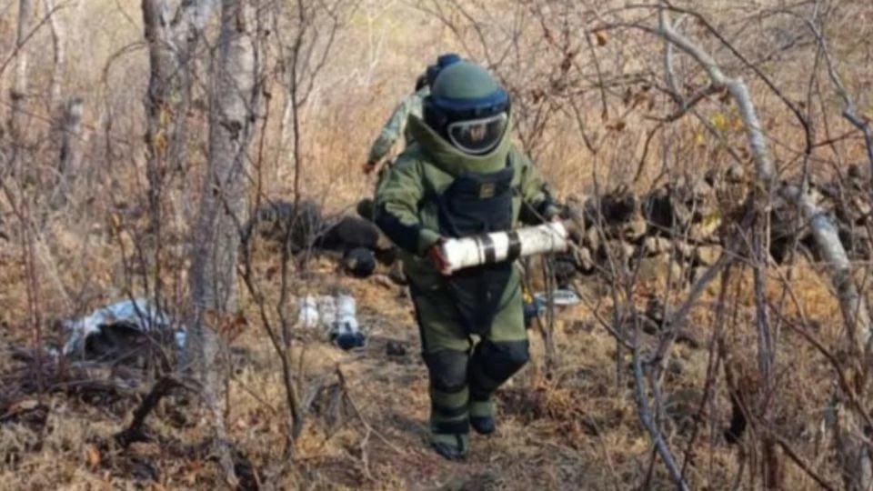 Descubren 12 artefactos explosivos en campo minado de Tierra Caliente, Michoacán