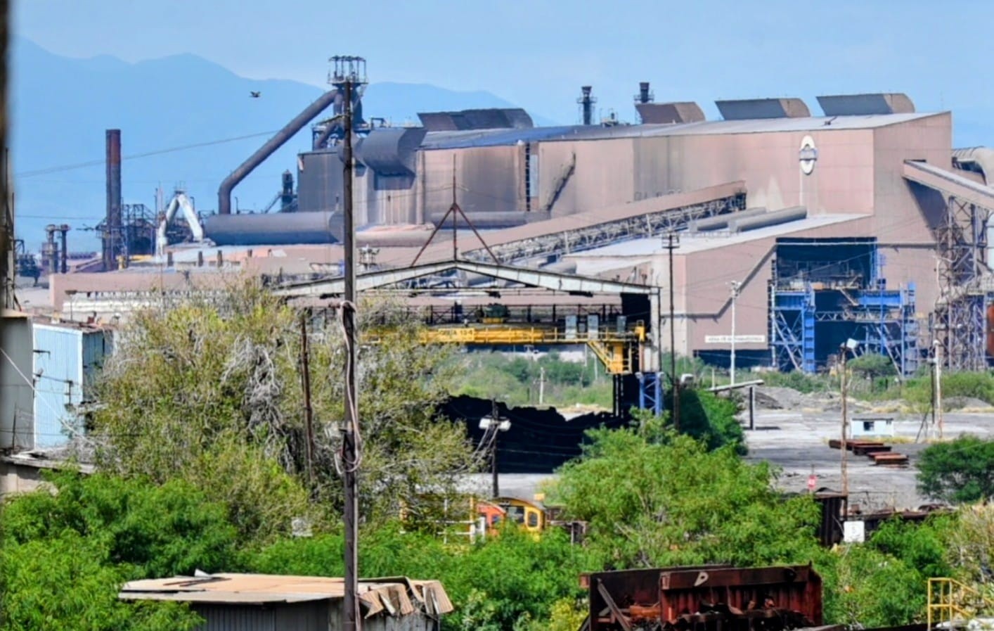 Confirma AHMSA solicitud de prórroga de la subasta