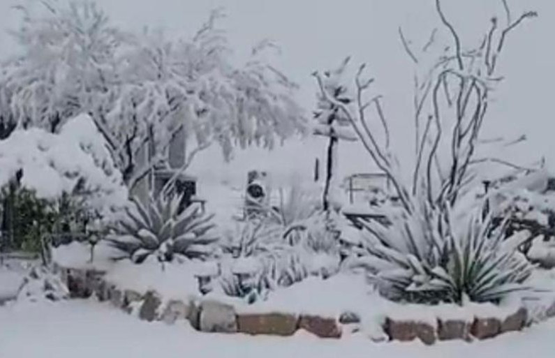 Prevén nevadas en norte del país