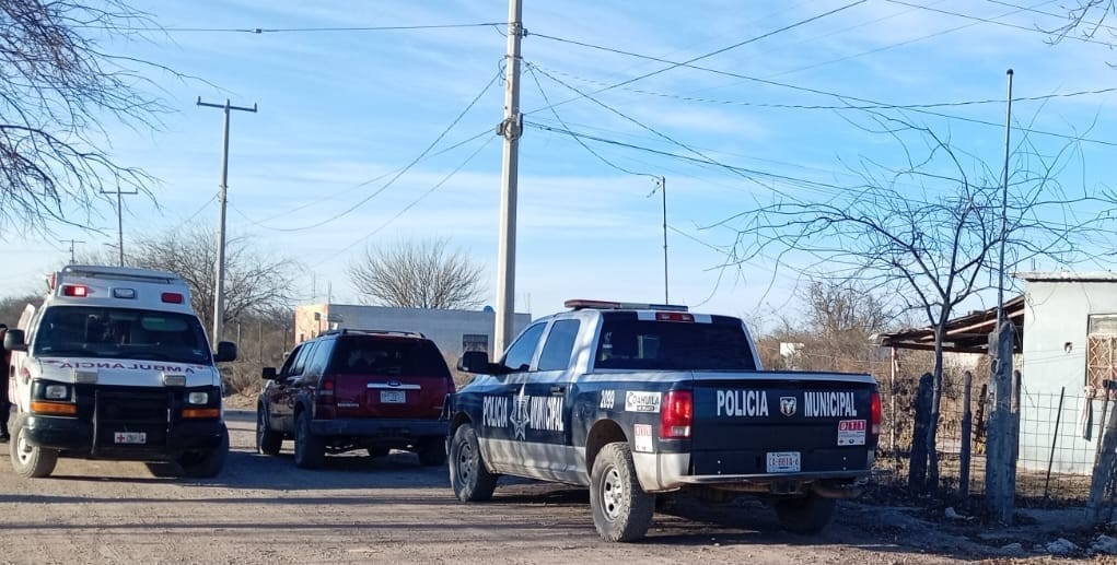 Niño y joven se caen de caballo desbocado