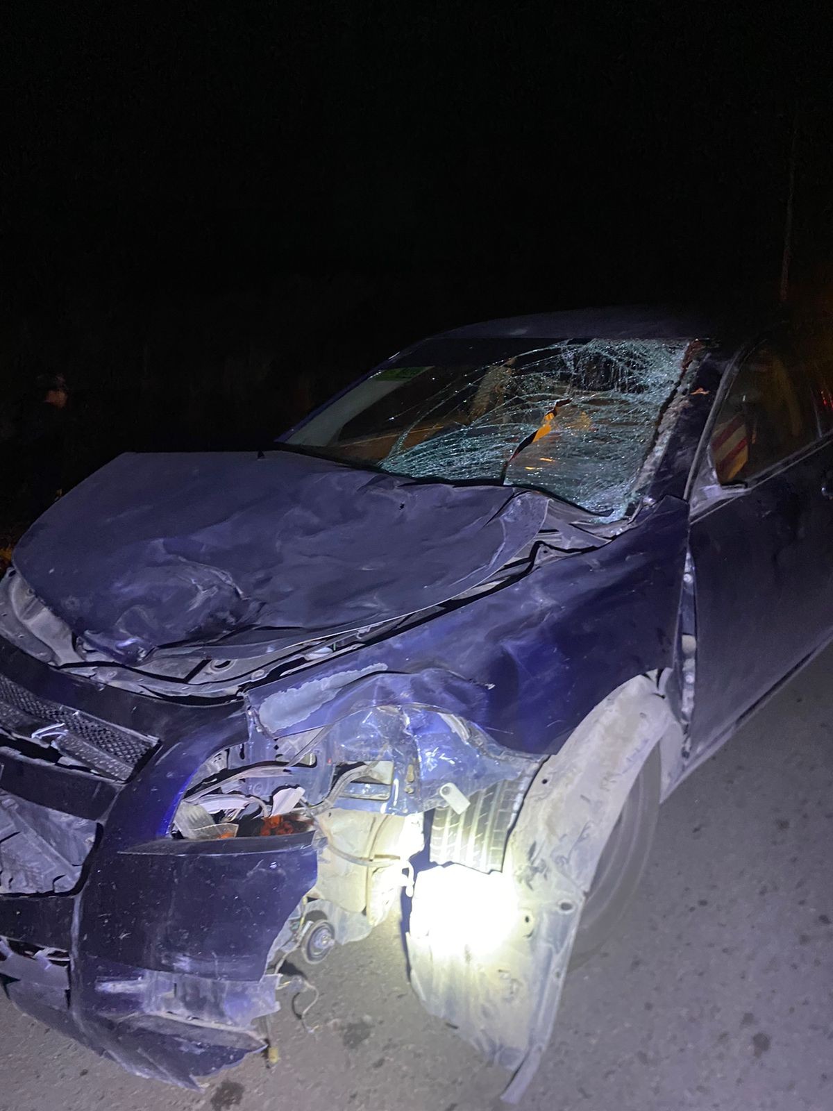 Muere caballo tras fuerte impacto en la carretera