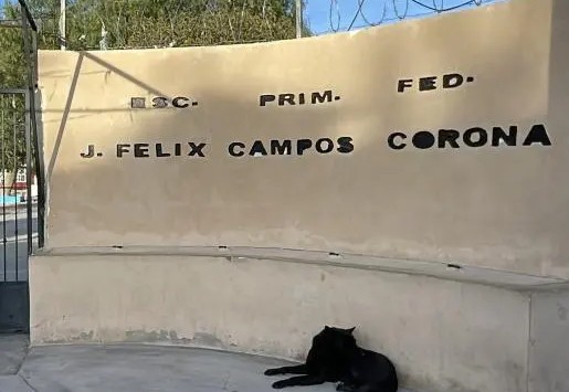 Ataca perro a niño frente a su escuela