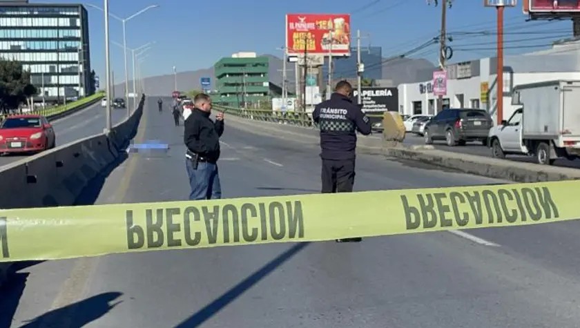 Arrolla y mata a peatón; se le atravesó en el LEA