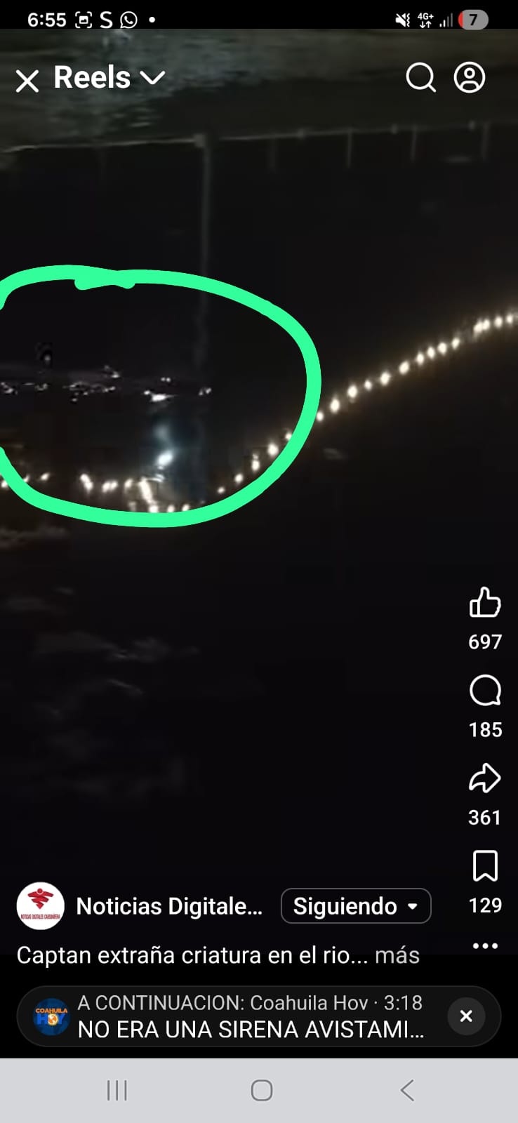 Descartan cocodrilo o sirena en el Río Sabinas