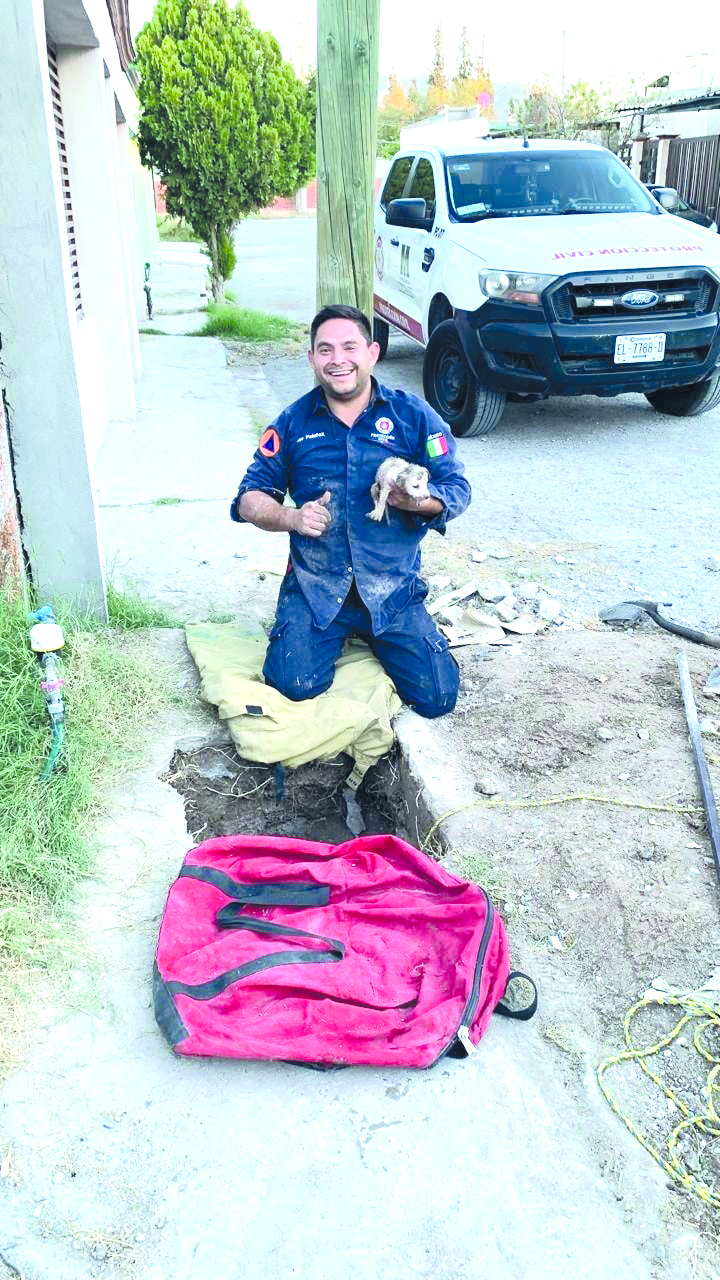 Heroica labor; rescatan perro atrapado en tubo