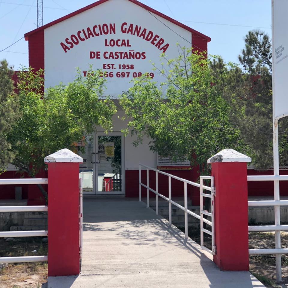 Tendrán hoy elecciones ganaderos de Castaños