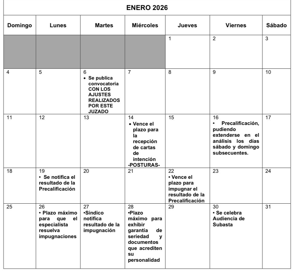 Publicarán el martes convocatoria para subastar AHMSA