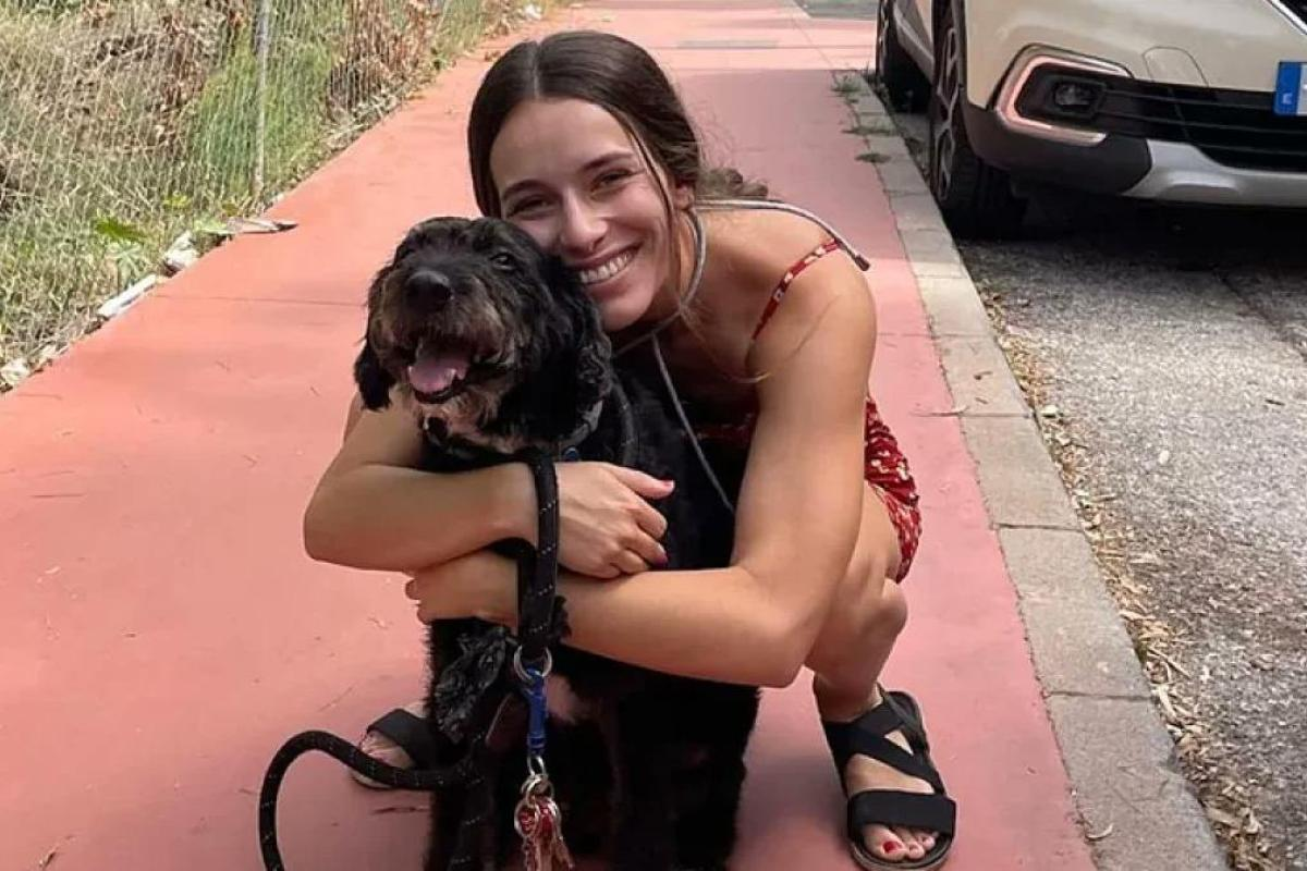¿Dónde está Boro? El perro extraviado tras el accidente de trenes en España?