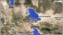 Entra Parras al mapa global del “oro blanco”