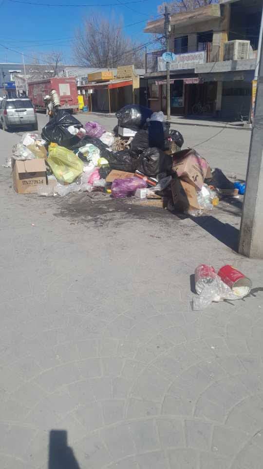 Basura, ratas y omisión: hartos vecinos de Rosita