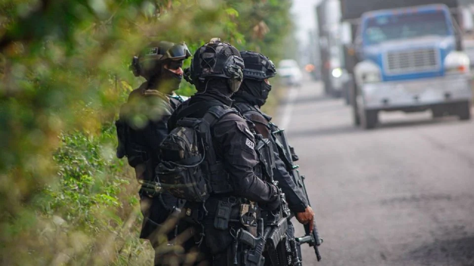 Hallan restos humanos en dos puntos distintos del municipio de Navolato, en Sinaloa