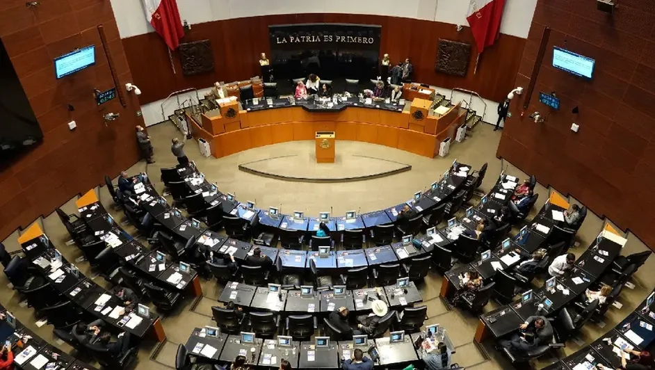 Respaldan PT, Verde plan B de Sheinbaum