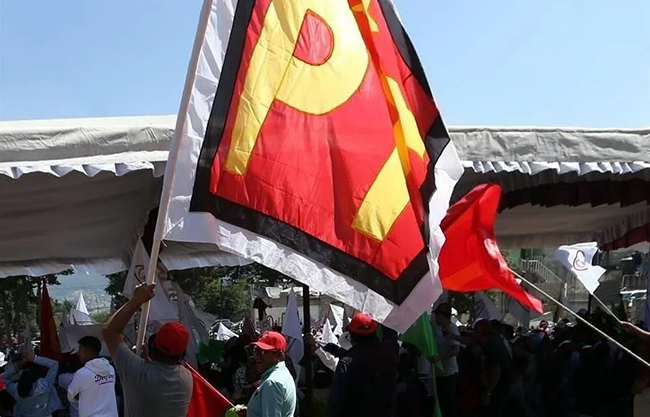 Pactan Morena-PT y Verde “respaldo total” al Plan B