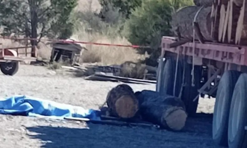 Muere leñador aplastado por troncos en Arteaga