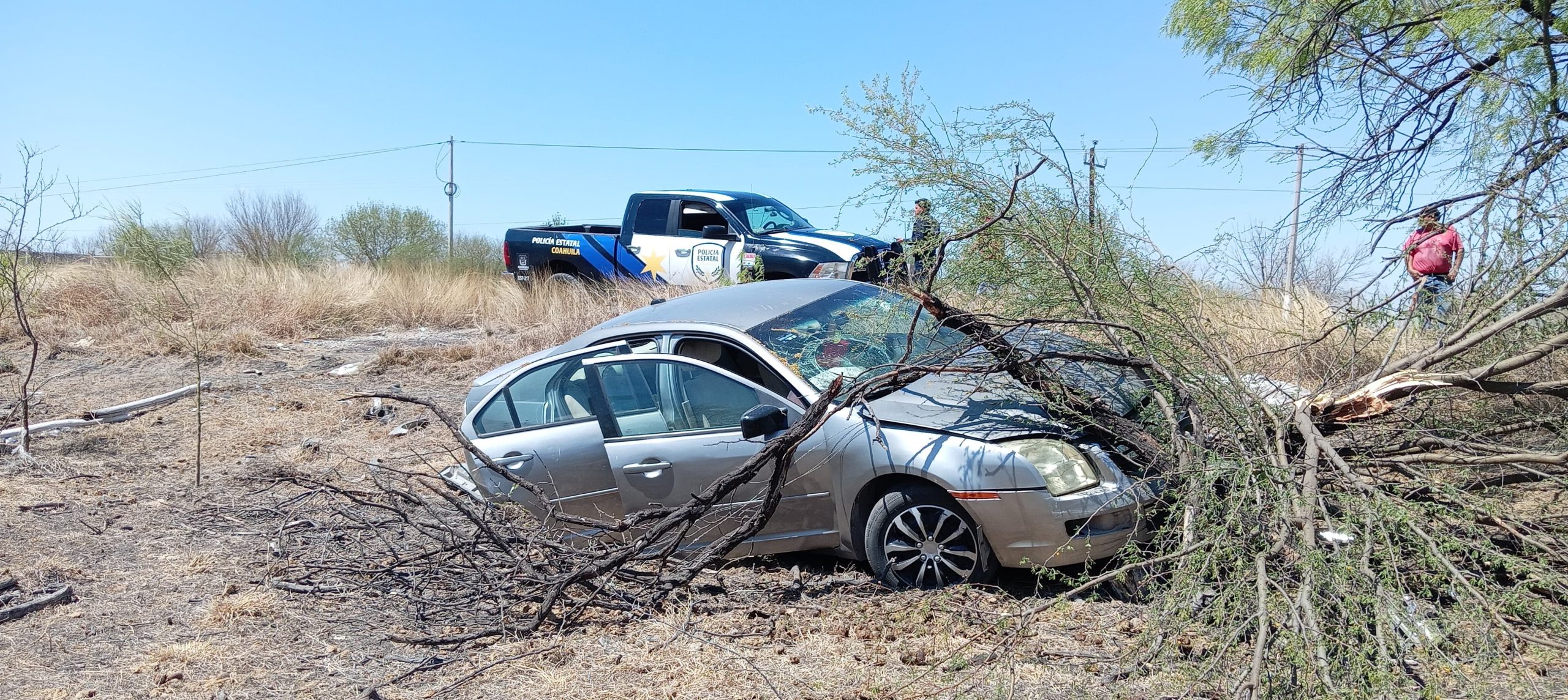 SE LE CAE EL CELULAR ; CHOCA CONTRA ARBOL
