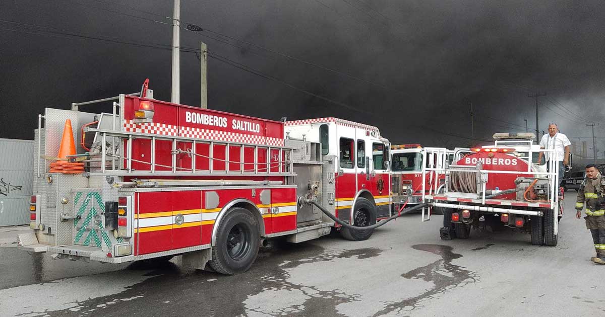 Provocados 8 de cada 10 incendios
