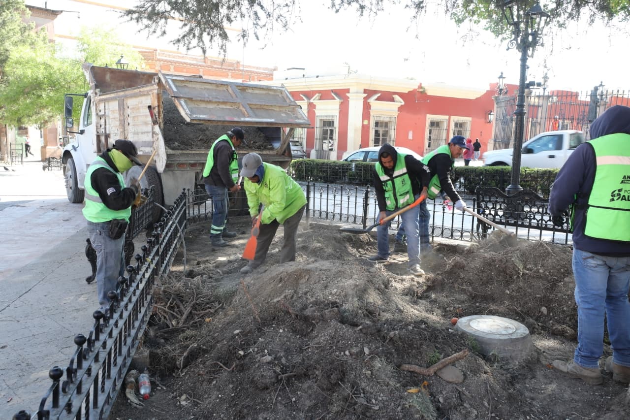Embellece Municipio áreas verdes de la Plaza de Armas