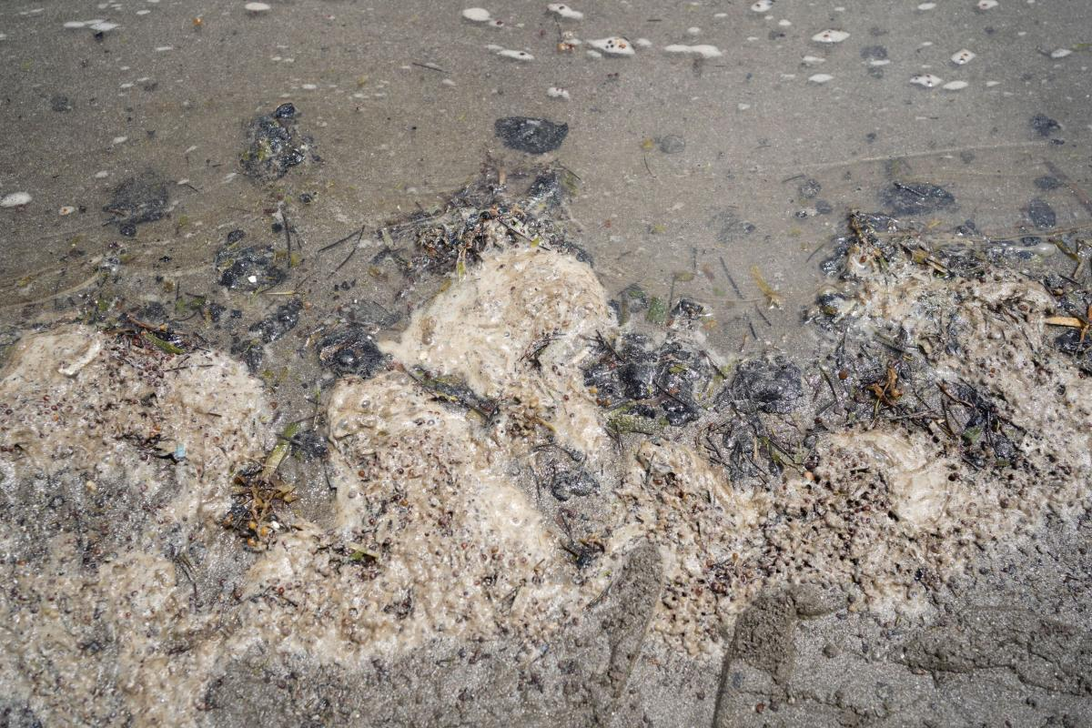 Identifican nuevas manchas en el Golfo de México tras sobrevuelo por derrame de crudo