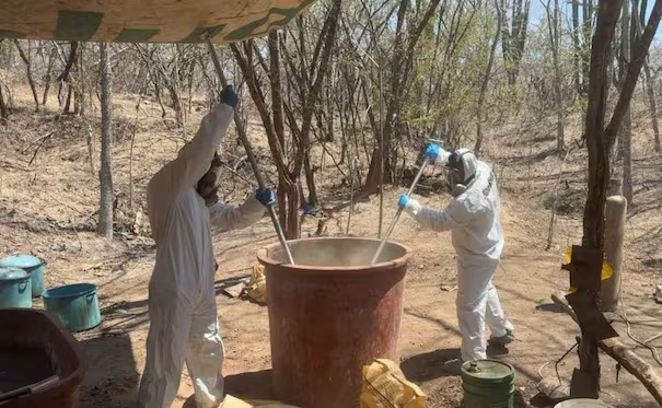 Marina desmantela laboratorio clandestino en Sinaloa, presuntamente de “La Chapiza”; destruye 600 kg de m*tanfetamina