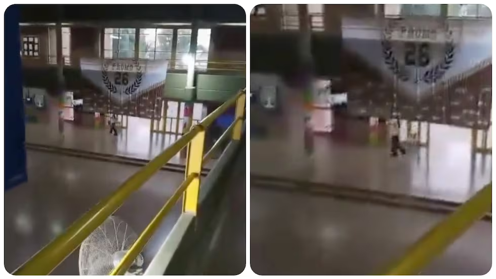 Adolescente dispar4 con escopeta a compañeros de clase en Argentina; reportan un mu3rto y dos heridos