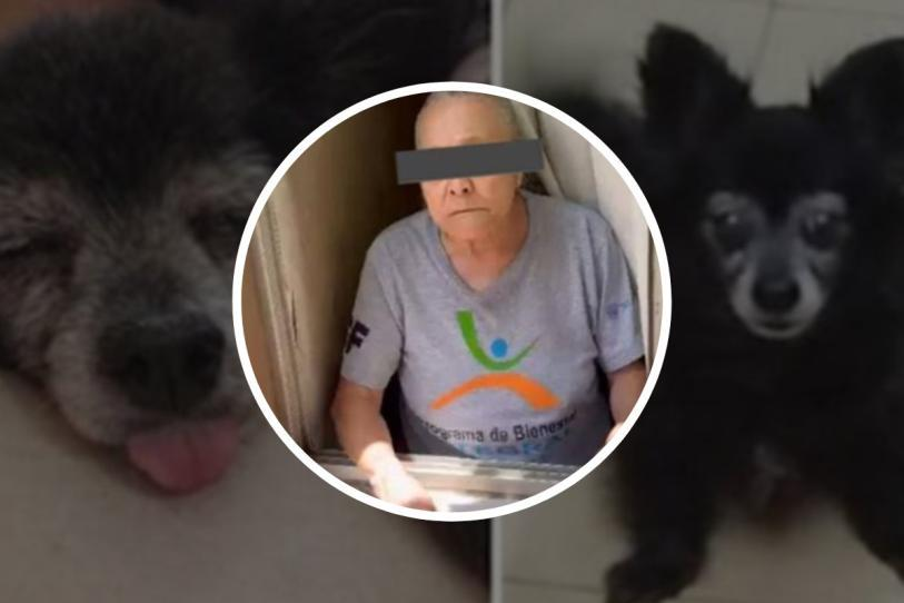 VIDEO|Queda libre la ‘Abuela Mat4perros’ de Coyoacán; la encaran al salir de juzgados