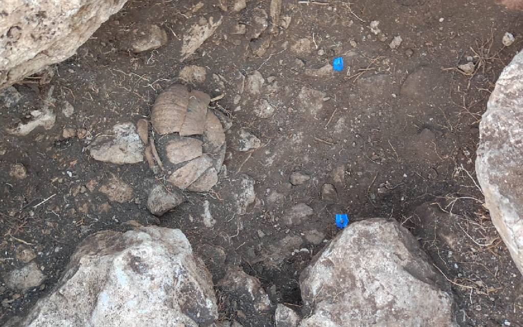 Descubren milenario depósito ritual maya, en Yucatán
