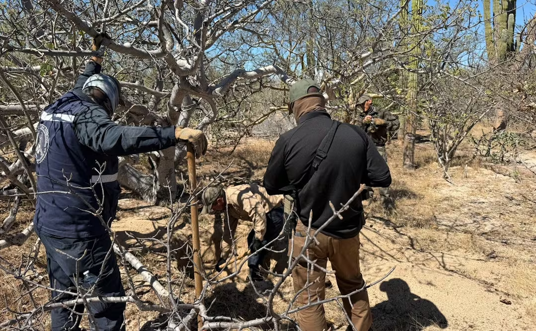 Recuperan seis cuerp0s de fosas clandestinas localizadas en Comondú, BCS; hallan otra osamenta en La Paz