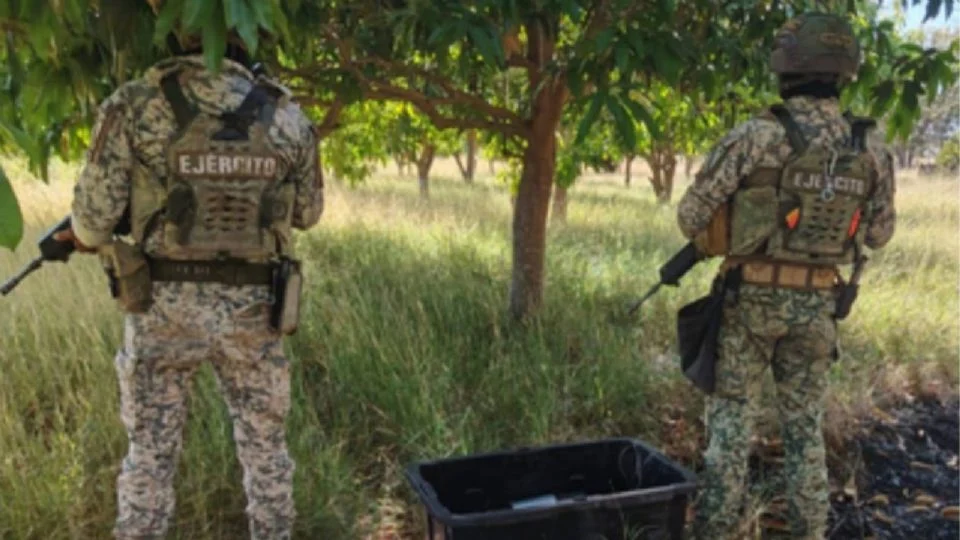 Inseguridad en Sinaloa: hallan 12 explosivos escondidos entre la maleza en Culiacán