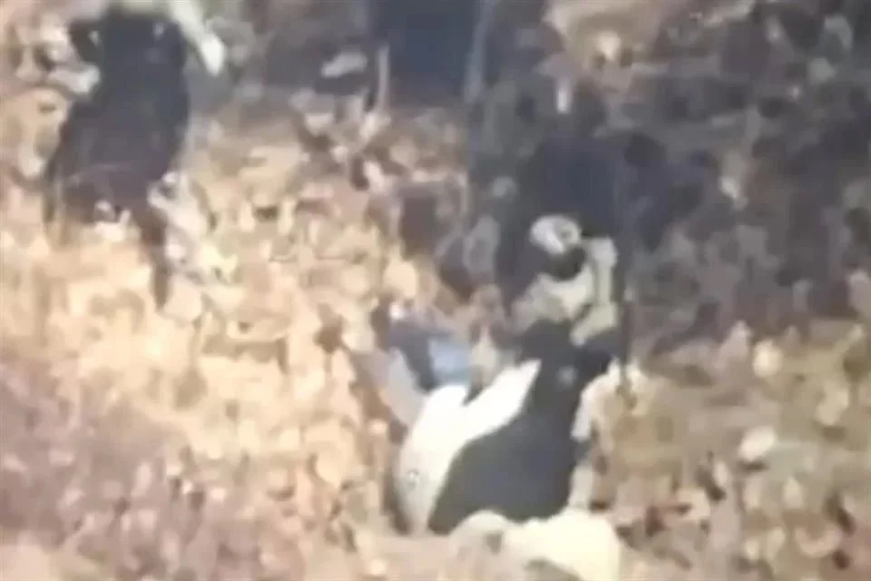 Se escondió en desagüe para evitar su captura