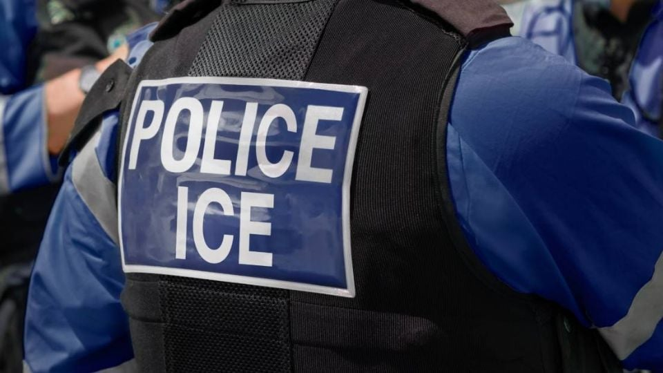 «Gran idea»: Trump cambiaría a los agentes de ICE por «agentes NICE» en EU