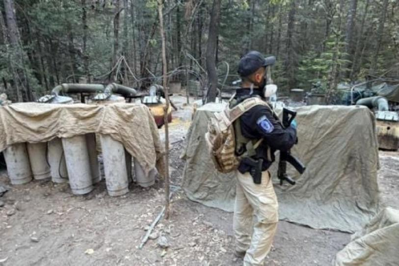 Gobernadora de Chihuahua declina comparecer ante el Senado por investigación de n*rcolaboratorio