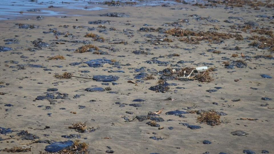 Pescadores afectados por el derrame de hidrocarburo bloquean carretera en Veracruz; reclaman incumplimiento de apoyos
