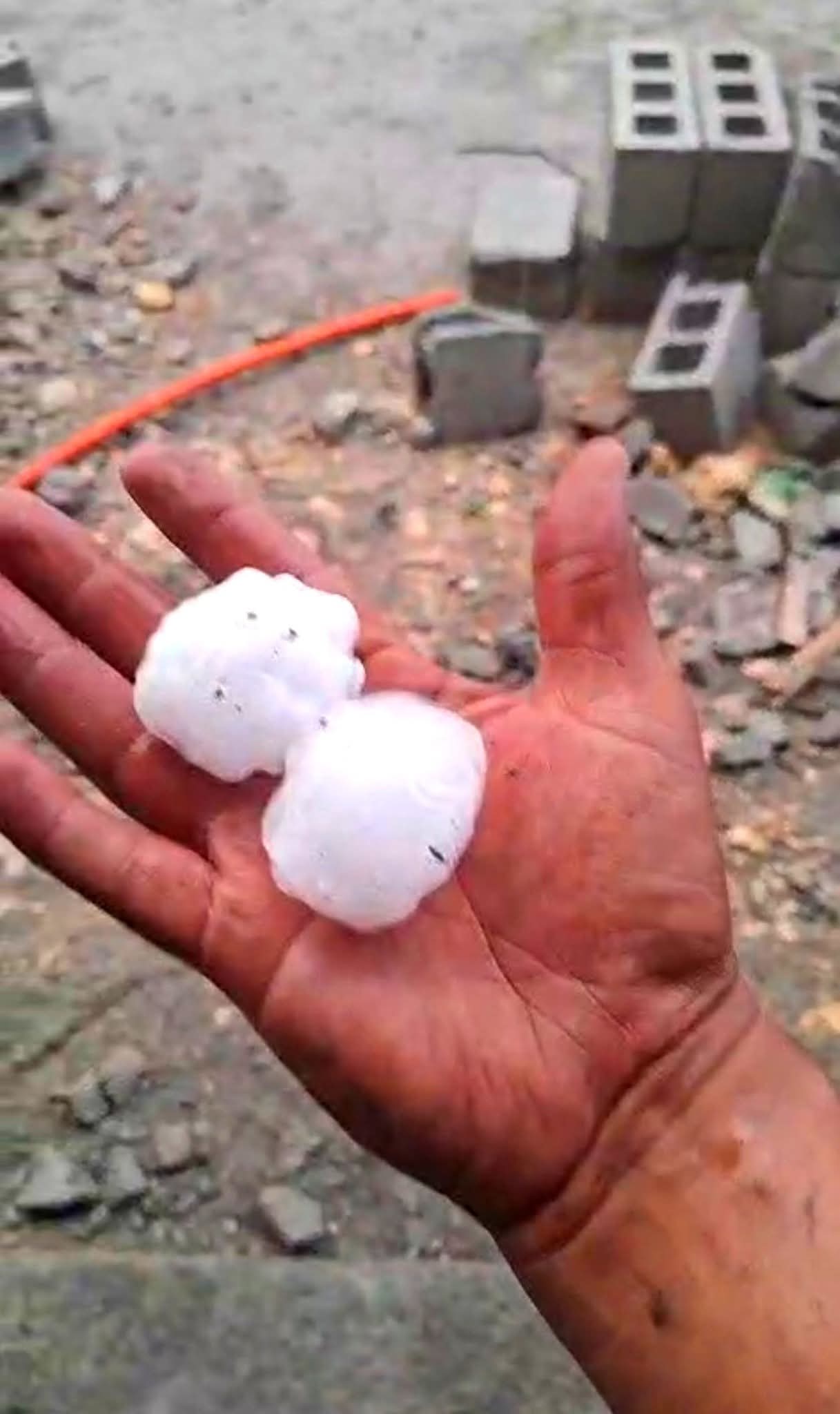 Sorprende granizada en región de Sabinas