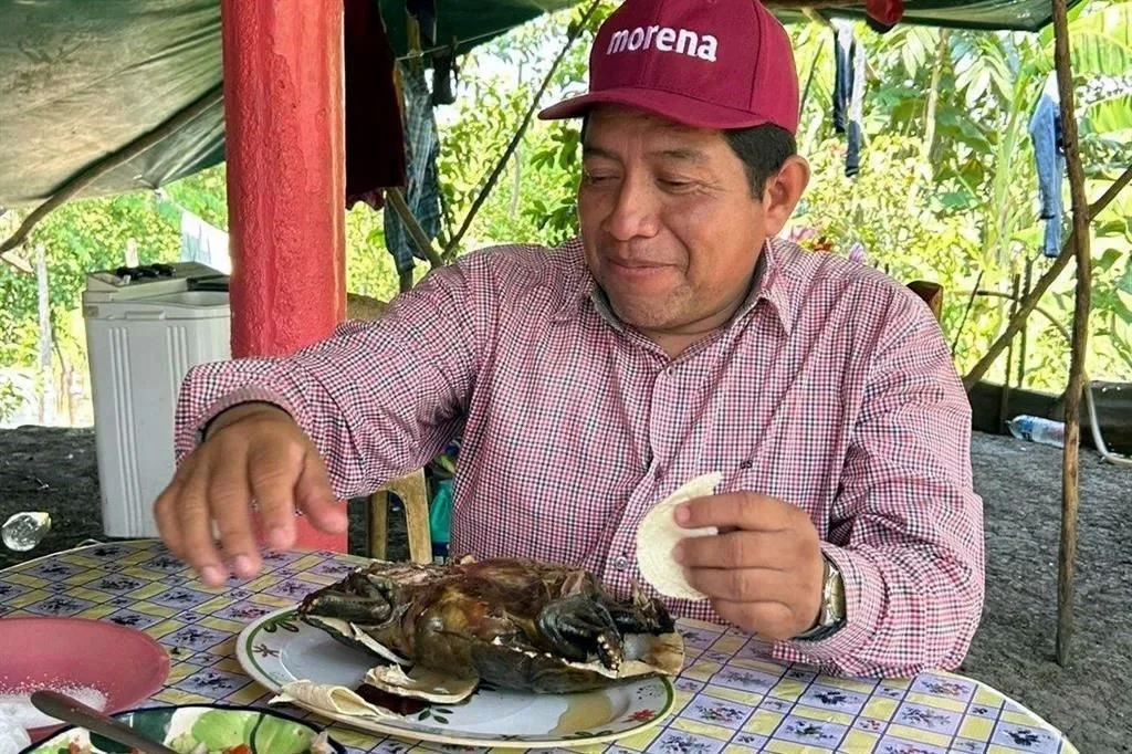 Presume líder de Morena comer tortuga protegida