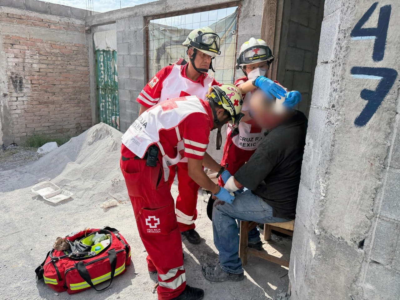 Perros salvajes lesionan de gravedad a un albañil