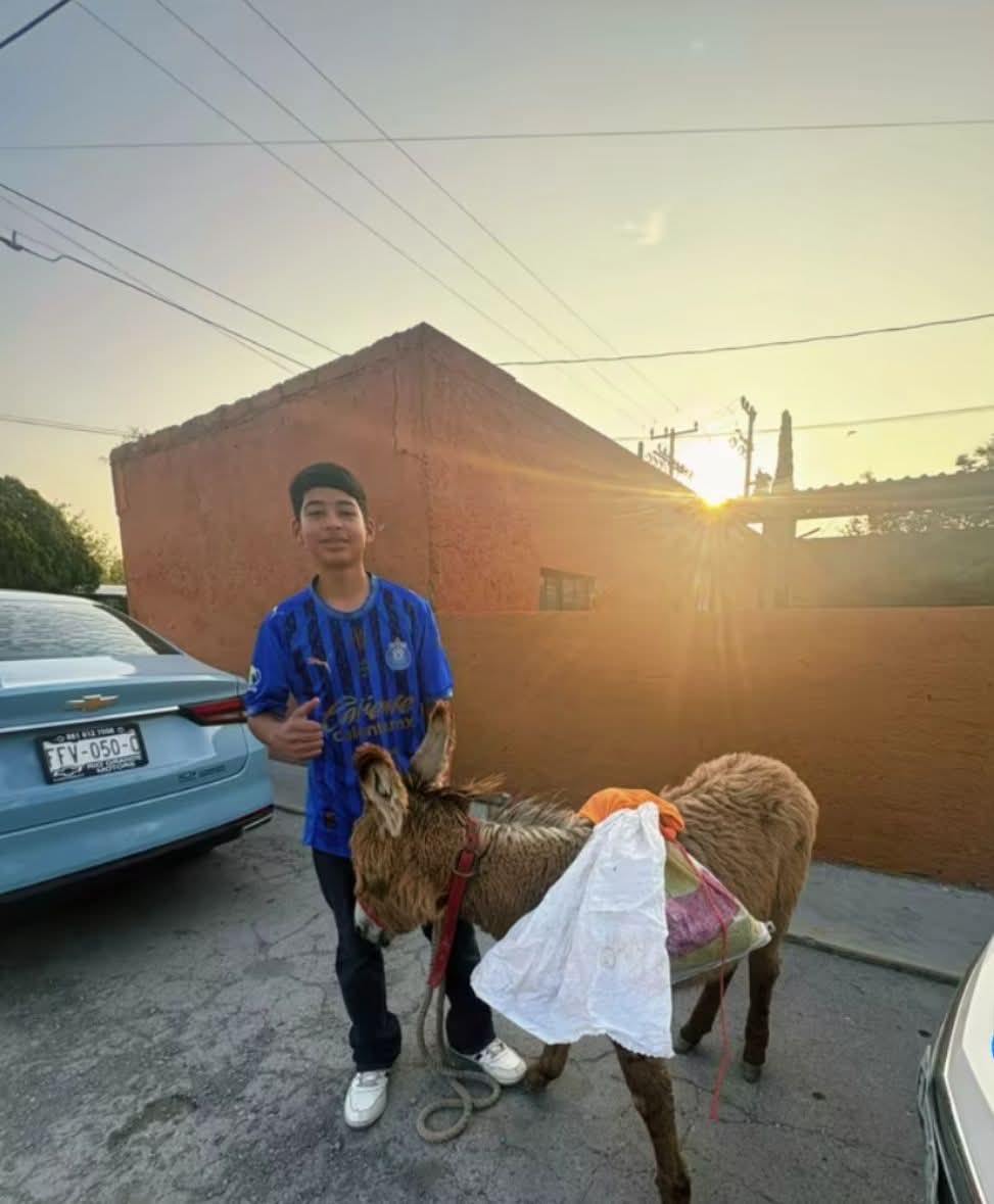 “Brownie”, el invitado más inesperado en la secundaria