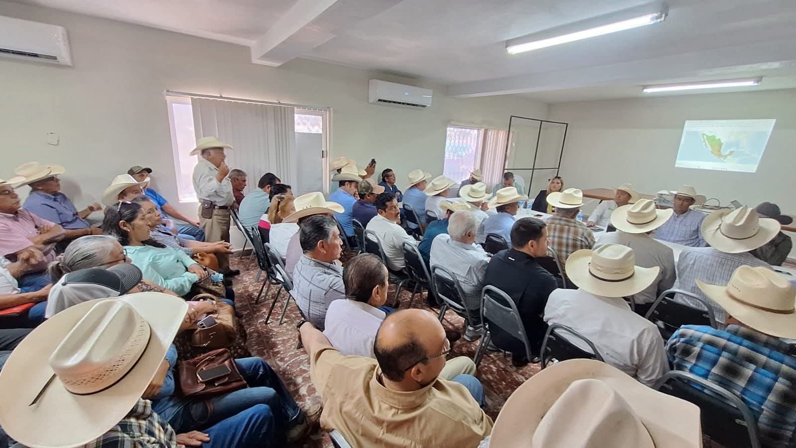 Blindan el hato ganadero contra gusano barrenador