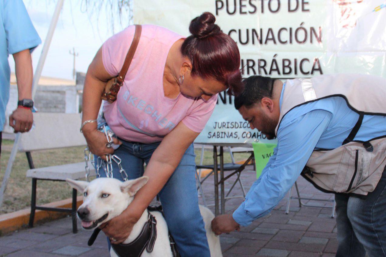 Lanzan hoy brigada de salud animal en La Cuchilla