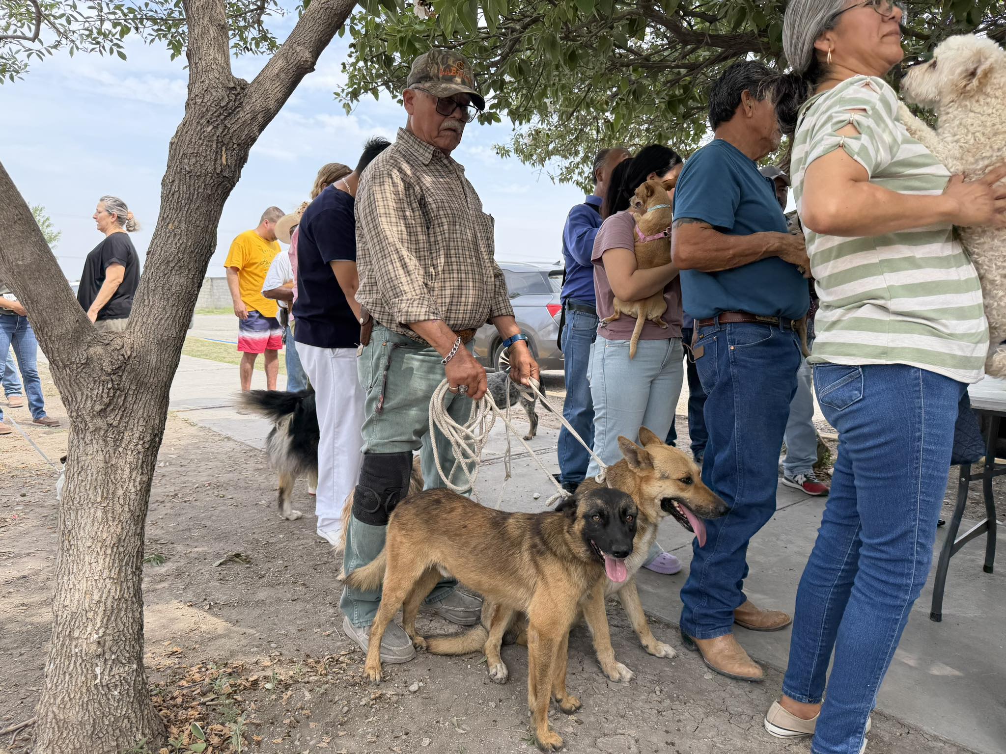 Impulsan campaña de esterilización canina