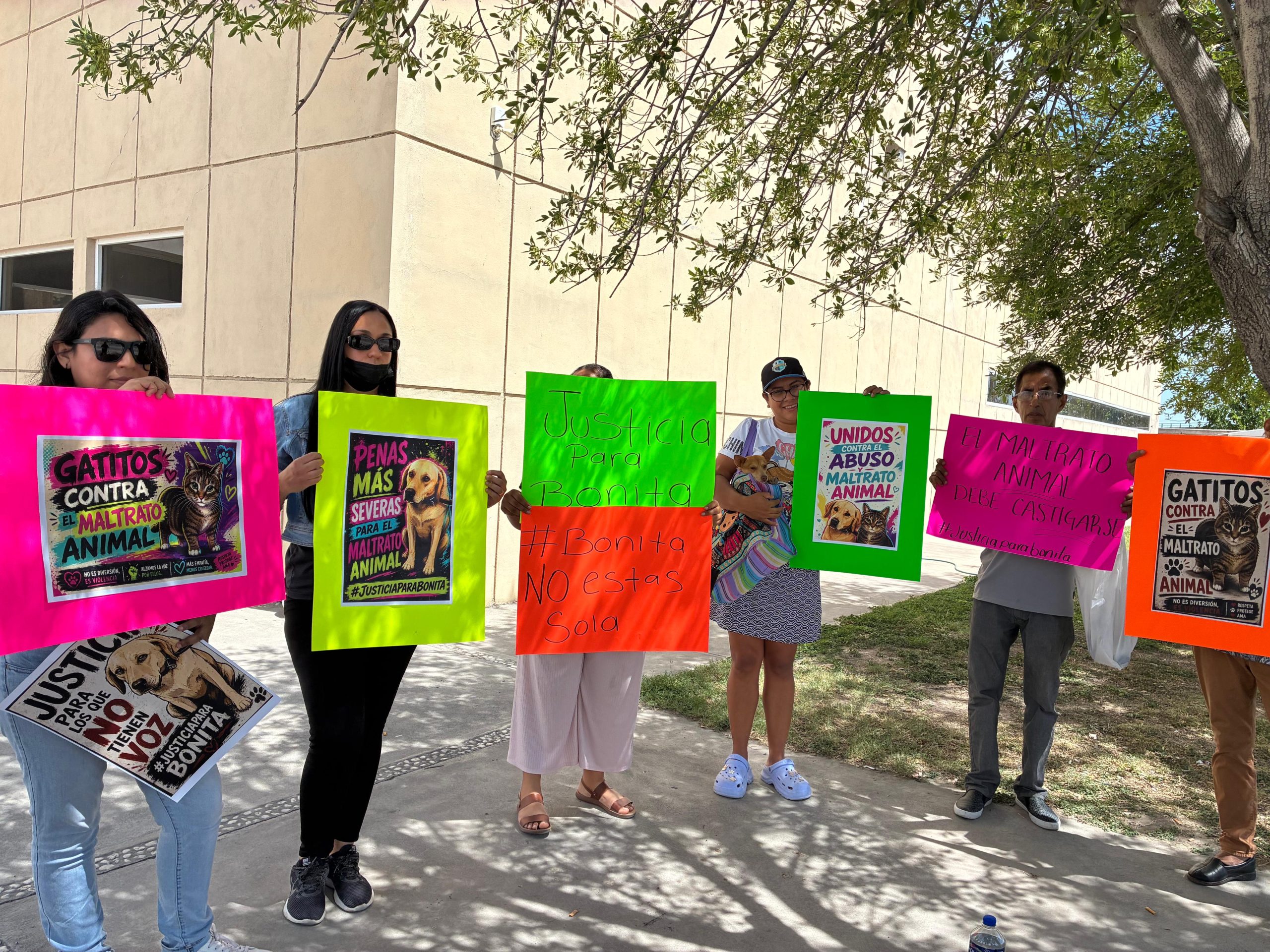 Claman activistas justicia para Bonita